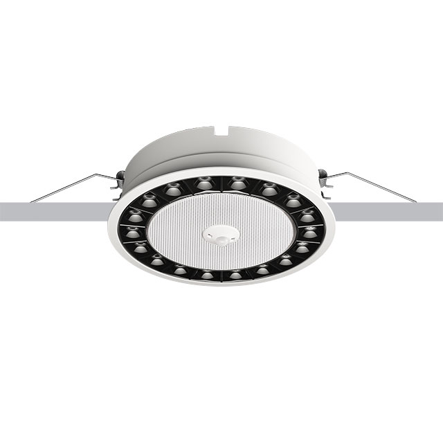 + Multisensor
